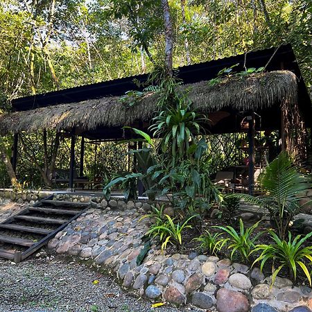 Kuyana Amazon Lodge Archidona Экстерьер фото