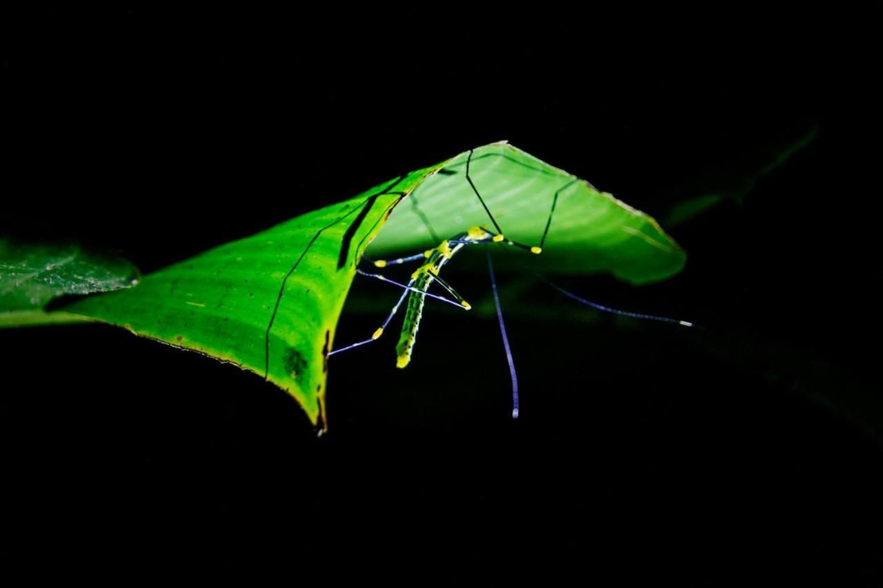 Kuyana Amazon Lodge Archidona Экстерьер фото